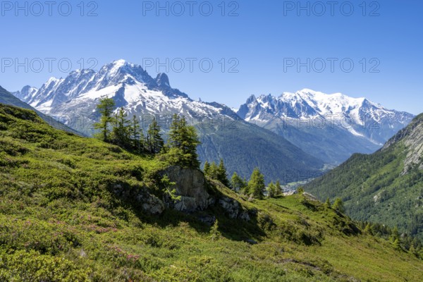 Mountain panorama with glaciated mountain peaks, Aiguille Verte with Aiguille du Midi and Mont Blanc, hike to Aiguillette des Posettes, Chamonix, Haute-Savoie, France, Europe