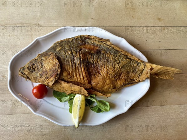 Baked carp on a plate, Franconian speciality, Nuremberg, Franconia, Bavaria, Germany, Europe