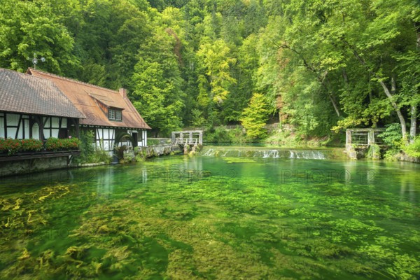 Historic hammer mill at the Blautopf, hammer mill, mill, Blautopfhaus, Blaubeuren, Swabian Alb, Baden- Württemberg, Germany, Europe