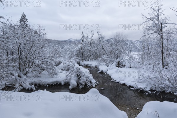 A dark creek flowing through snow covered forest on an overcast day