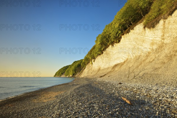 Baltic Sea with chalk cliffs in the morning light, pebble beach, Jasmund National Park, Rügen Island, Mecklenburg-Western Pomerania, Germany, Europe