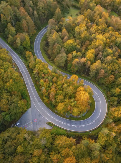 Aerial view of a winding road surrounded by autumn-coloured forest, Switzerland, Europe