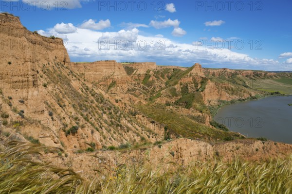 Panorama einer felsigen, trockenen Landschaft mit einem Fluss und blauem Himmel mit Wolken, Barrancas de Burujón, Burujon, río Tajo, Fluss Tajo, embalse de Castrejón, Stausee de Castrejon, Toledo, Kastilien-La Mancha, Spanien
