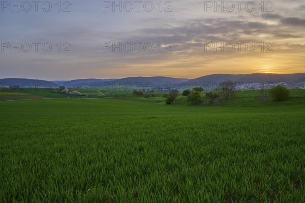 Green meadow in hilly landscape at sunrise with soft clouds in the sky, Mönchberg, Mltenberg, Spessart, Bavaria, Germany, Europe