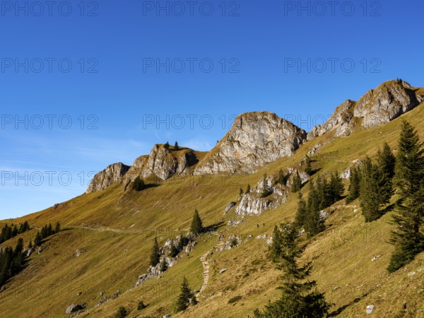 Hiking trails in the Rotwand area below the Rotwand-Köpfe, Mangfall mountains, Spitzingsee, Upper Bavaria, Bavaria, Germany, Europe