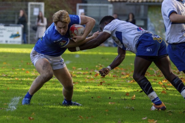 26.10.2024, Rugby 1st Bundesliga South/West, Season 2024/25, Matchday 6: SC Neuenheim vs TSV Handschuhsheim