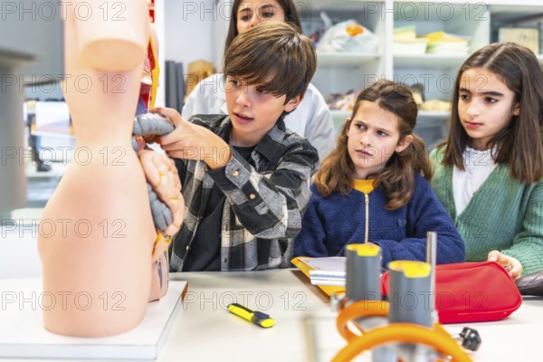 Curious students learning human body anatomy with a teacher and an anatomical model during a science lesson at school