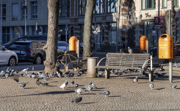 Pigeon droppings, dirty pavement at Hausvogteiplatz, Berlin, Germany, Europe
