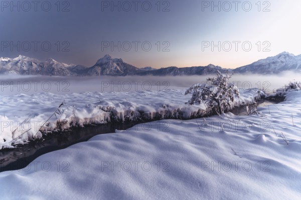 Shortly after sunset, twilight at Lake Hopfensee in the Allgäu in Bavaria in a winter landscape, Germany, Europe