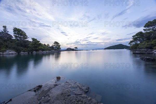 Calm sea at dawn, surrounded by trees and a gentle sky, bay, Peljesac, Croatia, Europe