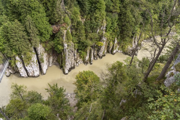 View from the Eibenschlucht viewing platform into the Entenlochklamm gorge, Kössen, Tyrol, Austria, Europe
