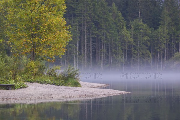 A thin fog bank lies on the lake on an early fall morning