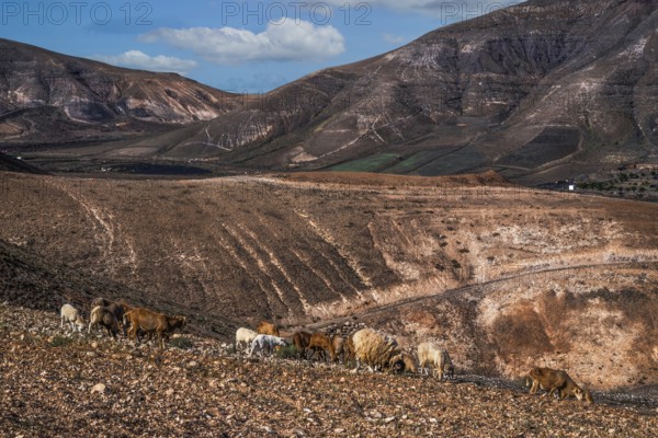 2016, Raimund Franken, Model Release:Not, Property Release: Not Yaiza, Lanzarote, ESP, Spain, Canary Islands, Canary Islands, Atlantic Ocean, Yaiza, Lanzarote, biosphere reserve, volcano, volcanism, volcanic island, island, recording date, Europe