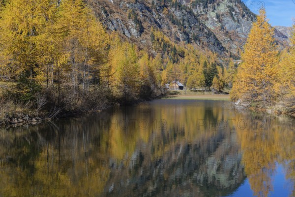 Fall foliage seen from the Malta Hochalm road. Carithia, Austria, Europe
