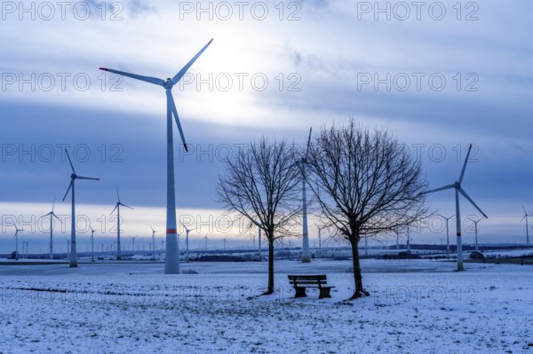 Wind farm, north of Lichtenau, self-proclaimed energy town, over 190 wind turbines and over 1200 solar panels generate 10 times as much electricity as the community of 11, 900 inhabitants consumes, largest onshore cluster of wind turbines in Germany, winter, slightly snow-covered landscape, North Rhine-Westphalia, Germany, Europe