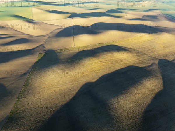 Farmland in the Campiña Cordobesa, the fertile rural area south of the town of Córdoba. Aerial view. Drone shot. Córdoba province, Andalusia, Spain, Europe