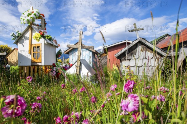 Colourful flowers and graves with miniature houses made of corrugated iron and wooden shingles at the cemetery, Puerto Rio Tranquilo, Aysen region, Patagonia, Chile, South America