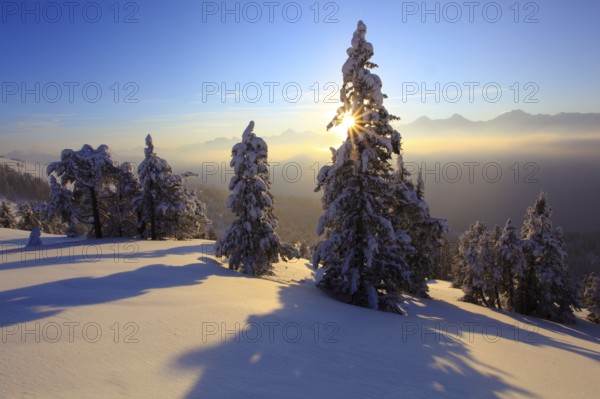 Bernese Alps, View from the Niederhorn, Bernese Oberland, Switzerland, Europe