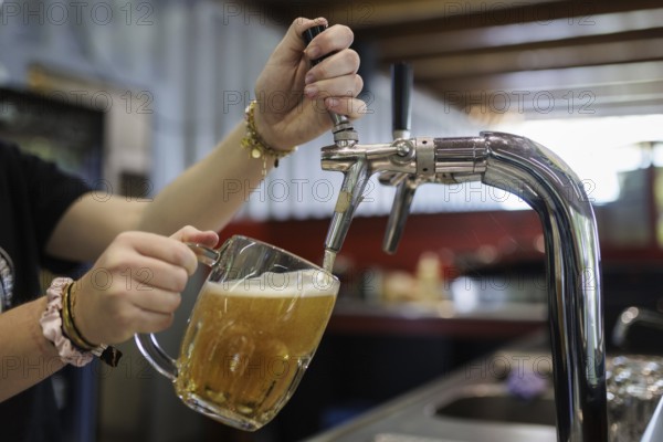 Symbol photo on the subject of serving beer. A woman taps a draught beer in a cafe in Berlin, 14/08/2024