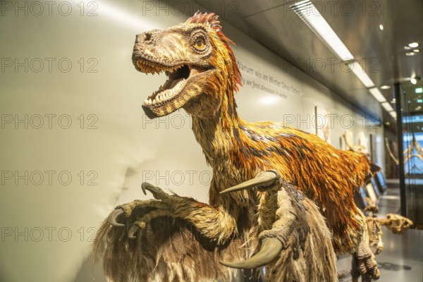 Dinosaur model, Natural History Museum Vienna, Austria, iEurope, Europe