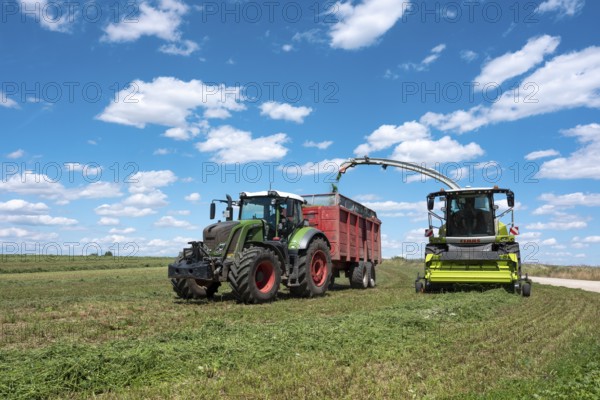 Combine harvester and tractor with trailer harvesting green fodder under a blue sky with cumulus clouds in summer, Burgenlandkreis, Saxony-Anhalt, Germany, Europe