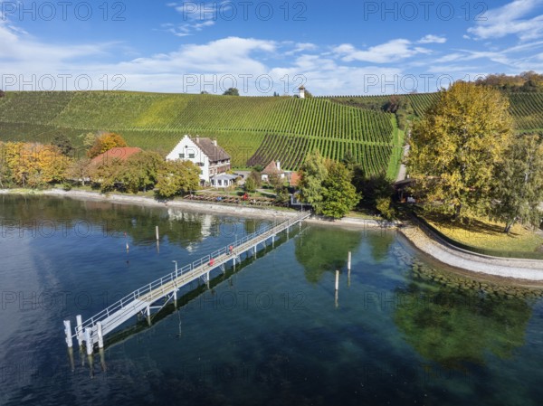 Aerial view of the jetty at the historic Rebgut Haltnau with catering business, outdoor catering and event venue, behind it a vineyard with wine tower, Meersburg, Lake Constance, Lake Constance district, Baden-Württemberg, Germany, Europe