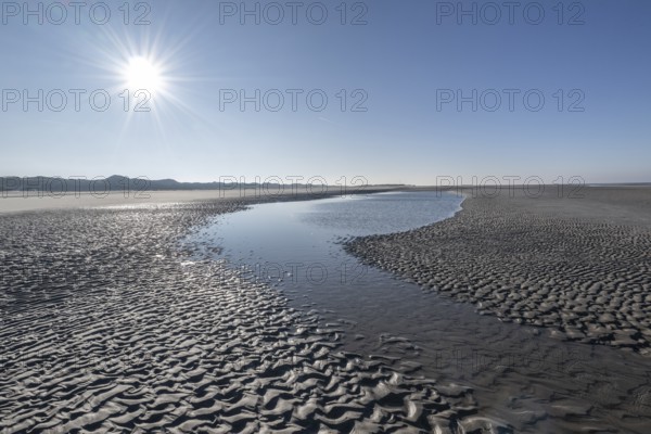 Wadden Sea, Amrum, Schleswig-Holstein, Germany, Europe