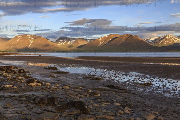 Fjord, low tide, stones, mountains, evening light, cloudy mood, Thingeyri, Westfjords, Iceland, Europe