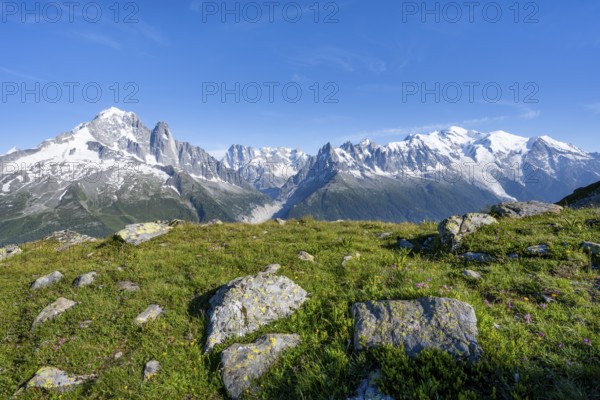 Mountain meadow and mountain panorama, mountain peaks Aiguille Verte, Grandes Jorasses and Mont Blanc, Mont Blanc massif, Aiguilles Rouges, Chamonix-Mont-Blanc, Haute-Savoie, France, Europe