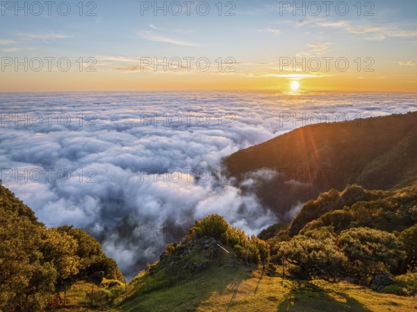Aerial view of sunrise above clouds and green hills at Fanal mountain, Madeira island, Portugal, Europe