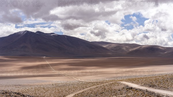 Andean Fauna National Reserve, Eduardo Avora, Altiplano, Bolivia, South America