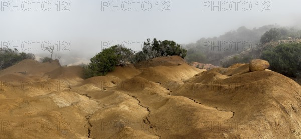 Yellow soil and rocks, erosion, near Arguamul, La Gomera, Canary Islands, Spain, Europe