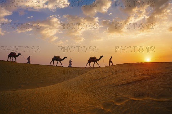 Indian cameleers camel drivers bedouin with camel silhouettes in sand dunes of Thar desert on sunset. Caravan in Rajasthan travel tourism background safari adventure. Jaisalmer, Rajasthan, India, Asia
