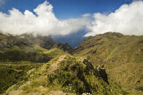 Teno Mountains, Tenerife, Canary Islands, Spain, Europe