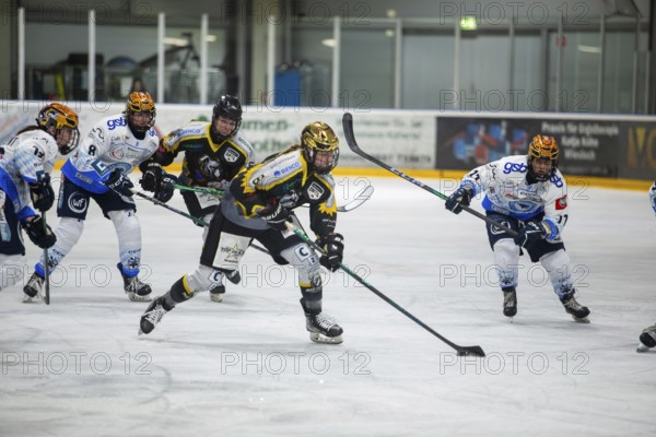 07.12.2024: German Women's Ice Hockey League, 2024/25 season: Mad Dogs Mannheim vs ERC Ingolstadt