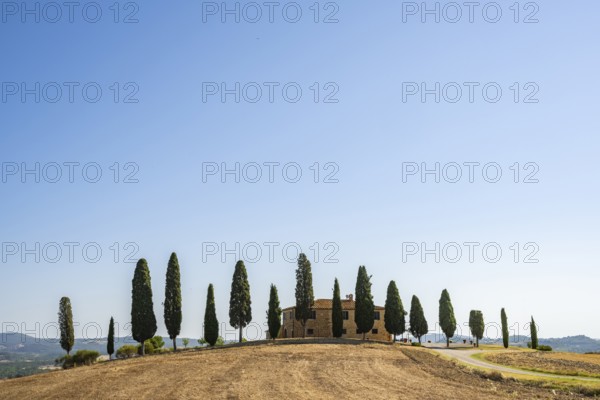 Tuscany landscape with cypresses and farmstead, dawn, 'Podere Cipressini', San Quirico d'Orcia, Val d'Orcia, Tuscany, Italy, Europe