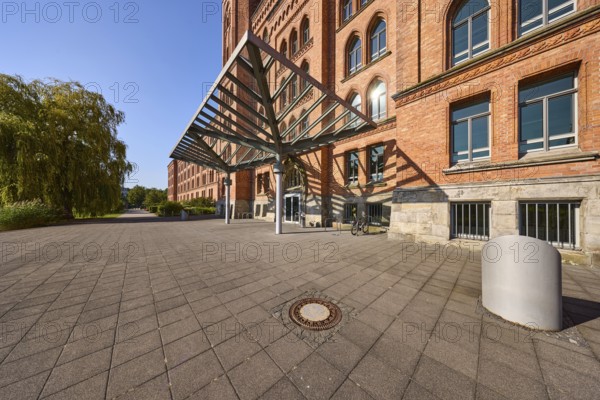 New town hall, brick architecture, architectural style neo-Gothic, high round window arches, entrance area, roofing, shadow, footpath, tree, blue sky, cloudless, street Am Französischen Garten, Celle, Lüneburg Heath, district of Celle, Lower Saxony, Germany, Europe