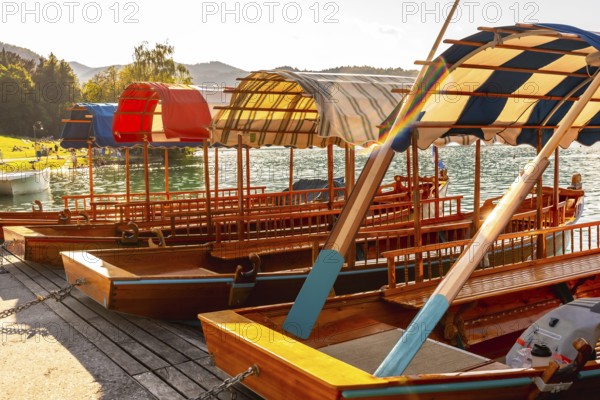 Colorful wooden pletna boats with canopies moored on the shore of lake bled, famous tourist attraction in the julian alps, slovenia