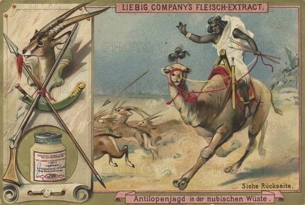 Picture series Hunting, Antelope hunt in the desert of Nubia, Liebig picture, digitally restored reproduction of a collector's picture from ca 1900, public domain, exact date unknown, A hunter on a camel hunts antelopes in an exotic desert landscape