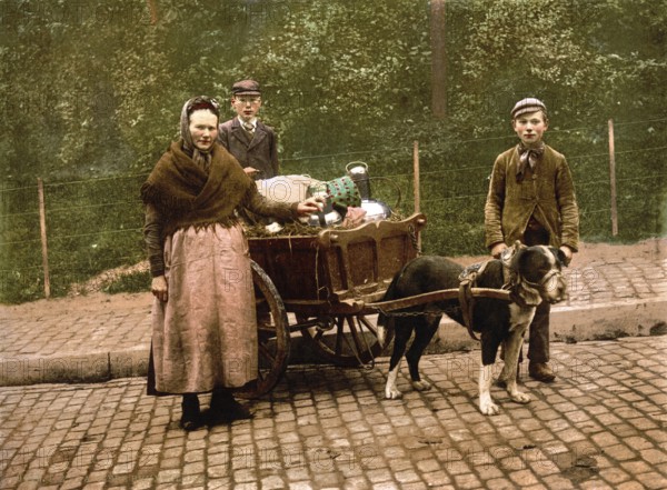 Milk seller, Brussels, Belgium, ca 1895, Historical, digitally restored reproduction from a 19th century original, Record date not stated, Europe