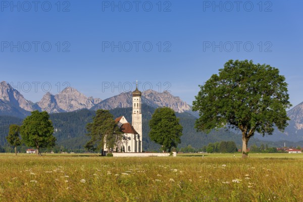 Church in the centre of a large meadow, surrounded by trees, with the Alps in the background under a blue sky, Schwangau, Ostallgäu, Allgäu, Swabia, Upper Bavaria, Bavaria, Germany, Europe