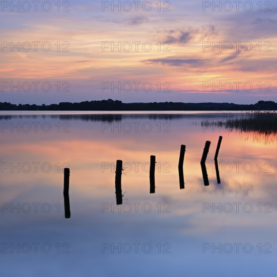 Sunset at Lake Schaalsee, wooden post in the water, Zarrentin am Schaalsee, Schaalsee Biosphere Reserve, Mecklenburg-Western Pomerania, Germany, Europe