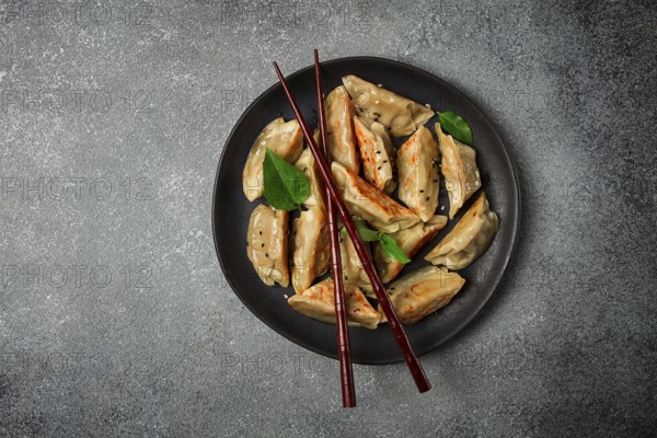 Japanese fried dumplings, gyoza, sesame seeds, top view, no people
