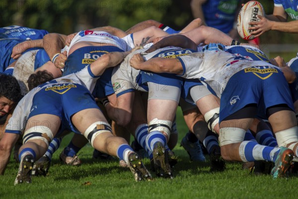 26.10.2024, Rugby 1st Bundesliga South/West, Season 2024/25, Matchday 6: SC Neuenheim vs TSV Handschuhsheim