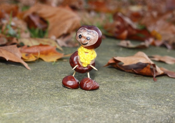 Funny chestnut figure with yellow scarf on a wall in autumn leaves, North Rhine-Westphalia, Germany, Europe