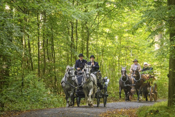 Presentation and route ride, all carriages in stylish tension, popular sporting event over approx. 30 km. An event organised by Reit- und Fahrverein Moritzburg e.V., 29th Moritzburger Teichrundfahrt, Moritzburg, Saxony, Germany, Europe