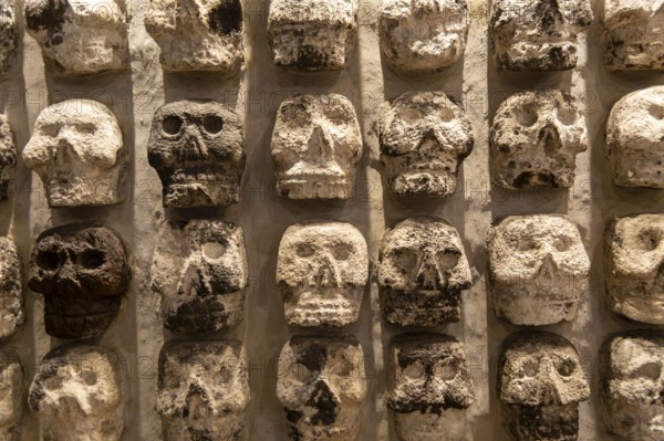 Wall of stone human skulls, archaeological site and museum of Templo Mayor, Mexico City, Mexico, Central America