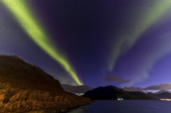 Northern Lights, (Aurora borealis) at a fjord near Skjiervoya, September 2024, Lapland, Finnmark, Norway, Europe