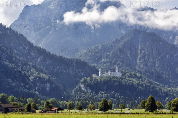 Neuschwanstein Castle in the morning mist, summer, Schwangau, Ostallgäu, Allgäu, Swabia, Upper Bavaria, Bavaria, Germany, Europe