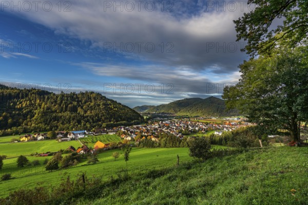 Landscape, Village, Gutach, Breisgau, Black Forest